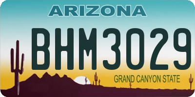 AZ license plate BHM3029