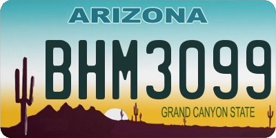 AZ license plate BHM3099