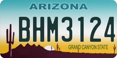 AZ license plate BHM3124