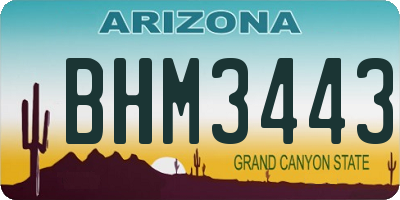 AZ license plate BHM3443