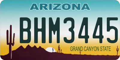 AZ license plate BHM3445
