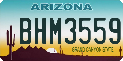 AZ license plate BHM3559
