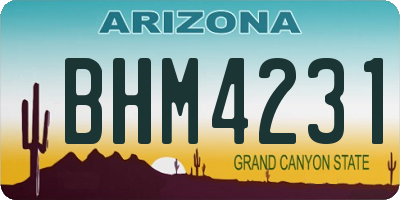 AZ license plate BHM4231