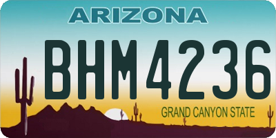 AZ license plate BHM4236
