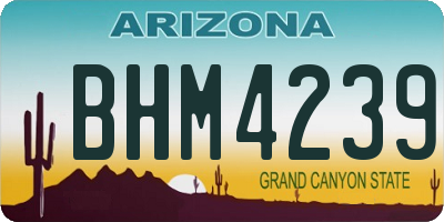AZ license plate BHM4239