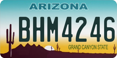 AZ license plate BHM4246
