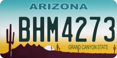 AZ license plate BHM4273