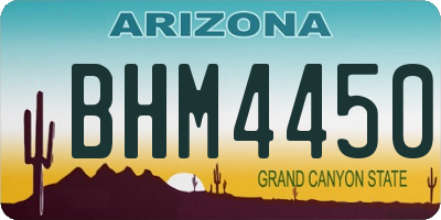 AZ license plate BHM4450