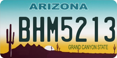 AZ license plate BHM5213