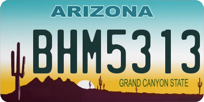 AZ license plate BHM5313