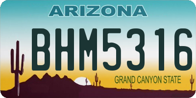 AZ license plate BHM5316
