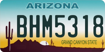 AZ license plate BHM5318