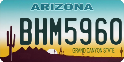AZ license plate BHM5960