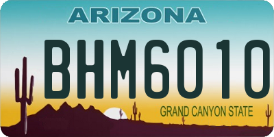 AZ license plate BHM6010