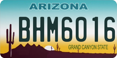 AZ license plate BHM6016
