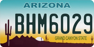 AZ license plate BHM6029