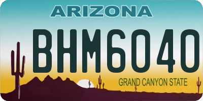 AZ license plate BHM6040