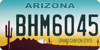 AZ license plate BHM6045