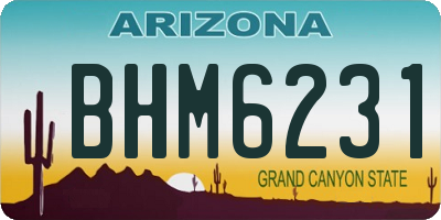 AZ license plate BHM6231