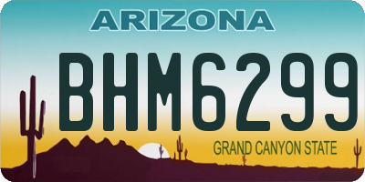 AZ license plate BHM6299