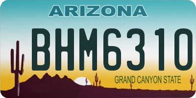 AZ license plate BHM6310