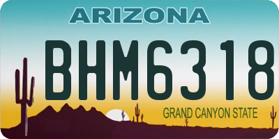 AZ license plate BHM6318