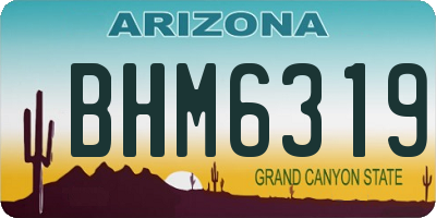 AZ license plate BHM6319