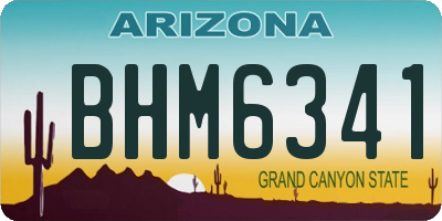 AZ license plate BHM6341