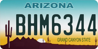 AZ license plate BHM6344