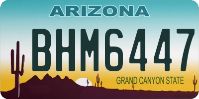 AZ license plate BHM6447