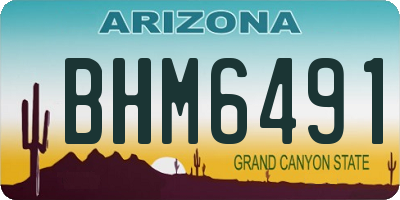 AZ license plate BHM6491