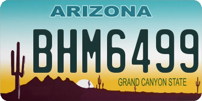 AZ license plate BHM6499