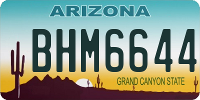 AZ license plate BHM6644
