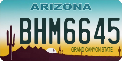 AZ license plate BHM6645