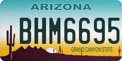 AZ license plate BHM6695