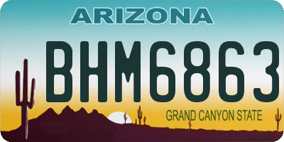 AZ license plate BHM6863