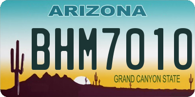 AZ license plate BHM7010