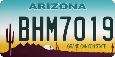 AZ license plate BHM7019