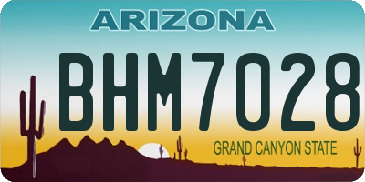 AZ license plate BHM7028