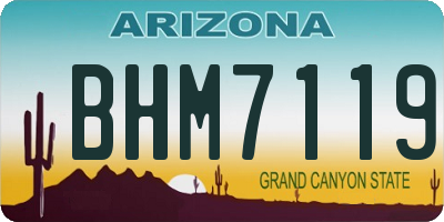 AZ license plate BHM7119