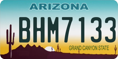 AZ license plate BHM7133