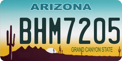 AZ license plate BHM7205