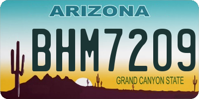 AZ license plate BHM7209