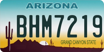 AZ license plate BHM7219