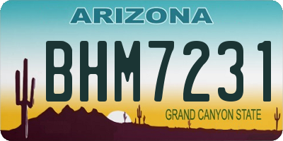 AZ license plate BHM7231