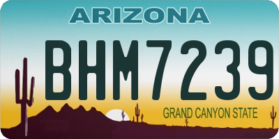 AZ license plate BHM7239