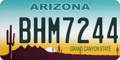 AZ license plate BHM7244