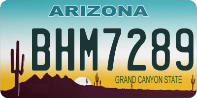 AZ license plate BHM7289