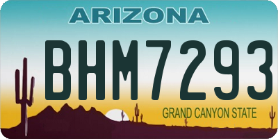 AZ license plate BHM7293