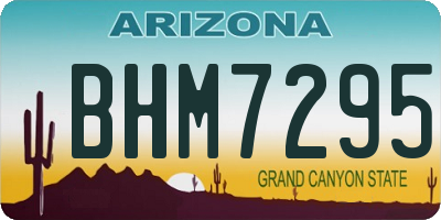AZ license plate BHM7295
